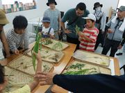 紀の川流域カンパニーの写真3