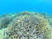 宜野湾マリン支援センターの写真4