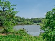 中津果樹園の写真2