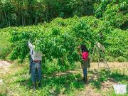 中津果樹園の写真3