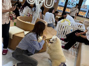 FUFU サモエドカフェ池袋東口店の写真3
