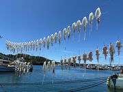 呼子台場 大漁鮮華の写真4