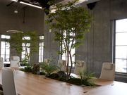 りそなコエドテラスの写真4