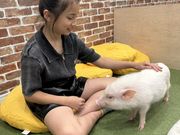 マイクロブタカフェ【豚小屋】の写真4