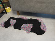 101rugの写真4