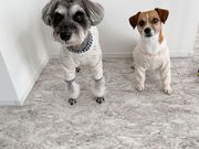 おうちサロンM's liebeの写真3