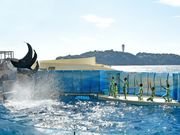 リザーブドクルーズ湘南の写真2