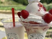 いずみ小川ブルーベリー園の写真4