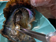 work studio kiraraの写真3