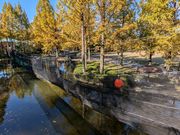 ボウケンノモリ 万博記念公園店の写真3