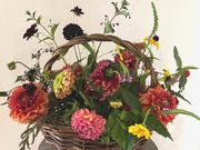 花と風との写真3