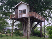 真田庭園キャンプ場の写真3