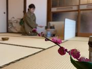 いしない茶道教室の写真4