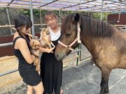 ぽにぃているの写真3