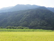 日南・大平集落活動センターひなたぼっこの写真4