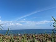 民宿 徳増の写真3