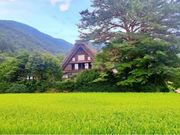 白川郷旅巡りガイドサービスの写真2