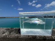 ファミリープランの写真2