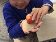 さぬき農園ぐらしの写真3