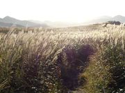 エンジョイ四国カルストの写真2