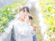 やちまた 里山ファームの写真2