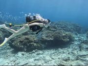 ONLYONE divingの写真2