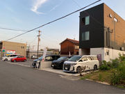 Mens Total Beauty CHESTの写真2