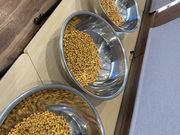 青源味噌株式会社の写真4