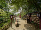 曽我浅間神社の写真2