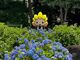 芹沢公園の写真2