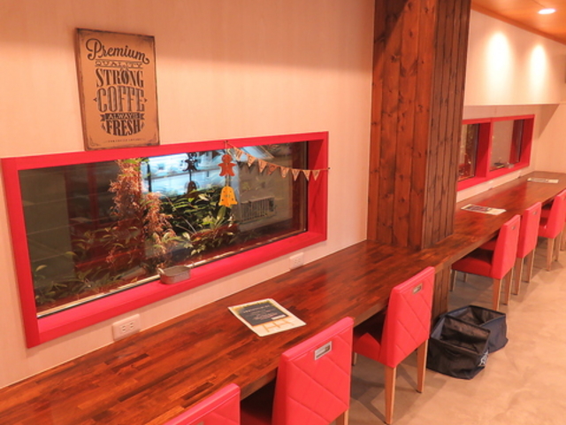 たんと 1F CAFE たんと 1F かふぇの写真1