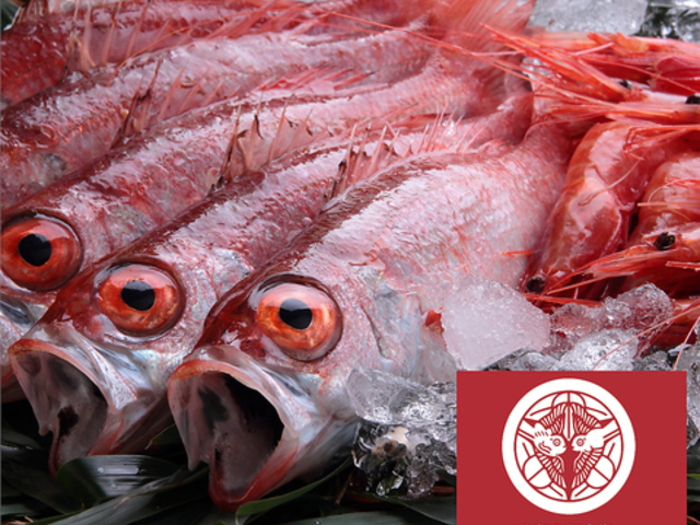 呑みすぎ謙信の写真1