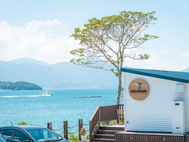 HACHIDORI ハチドリの写真1