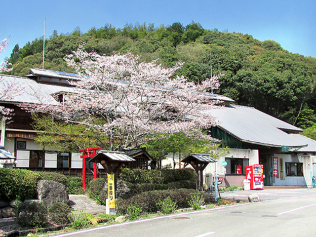 山江温泉 ほたるの写真1