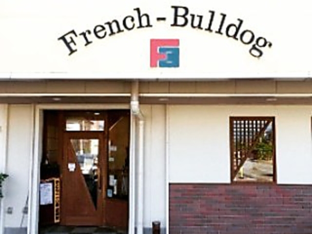 French Bulldog フレンチブルドッグの写真1