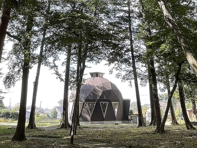 マツガミネコーヒービルヂング 103 グリムの森店の写真1