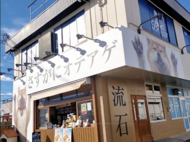 高級食パン専門店 さすがにオテアゲの写真1