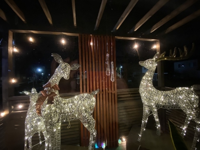 cafe galleの写真1