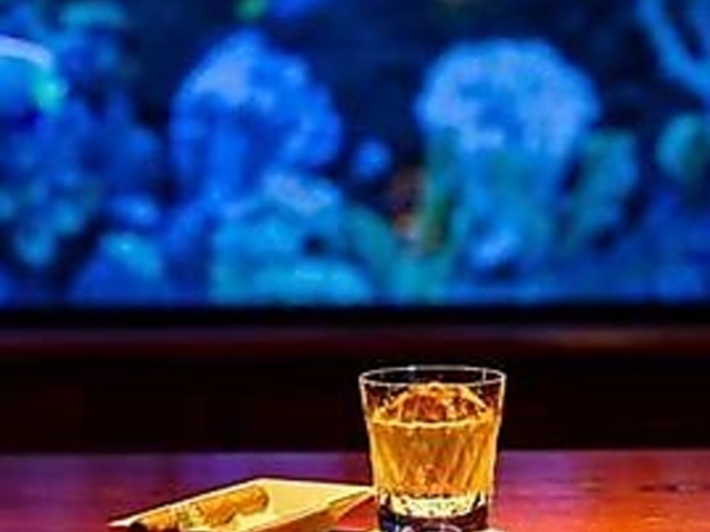 Shot Bar Aquarium ショットバー アクアリュームの写真1
