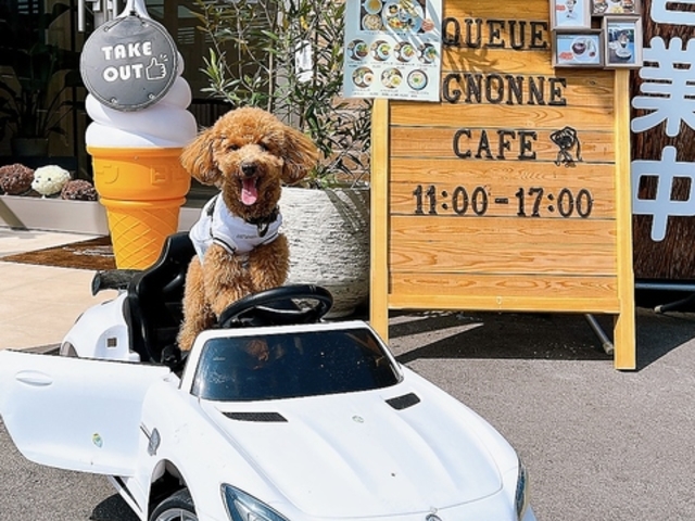 Queue Mgnonne cafe クーミニョンカフェの写真1