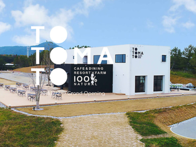 トトマトの写真1