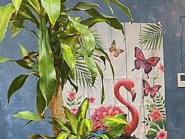 FOOD BAR & MUSIC FLAMINGO CAFE フラミンゴカフェの写真1