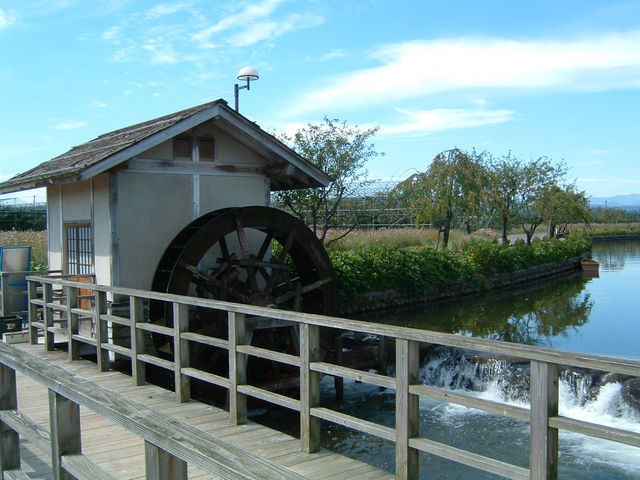 寒河江そばの散歩道