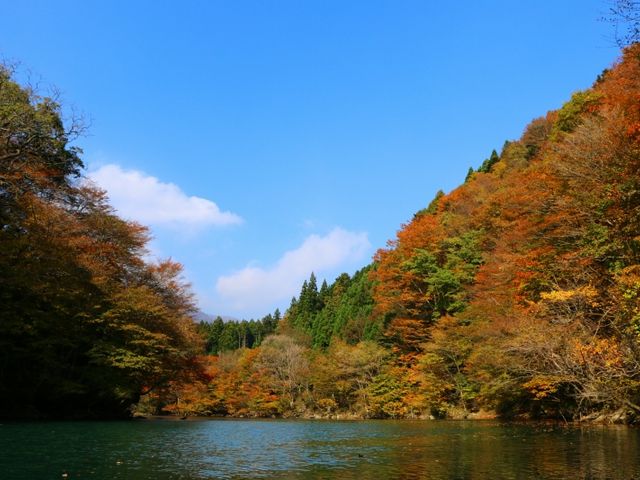 板室自然遊学センター