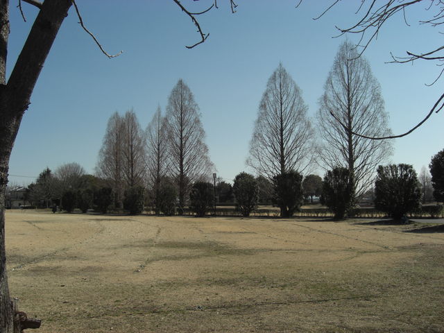 壬生総合公園