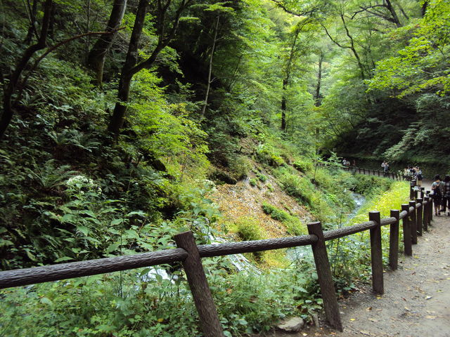 白水の滝