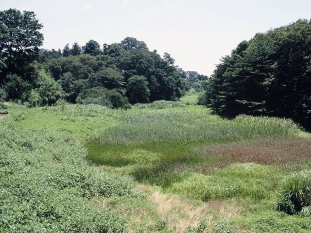 高尾宮岡の景観地の写真1