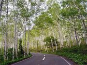 平庭高原の写真2