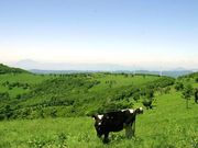 袖山高原の写真1