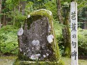 羽黒山南谷の写真1